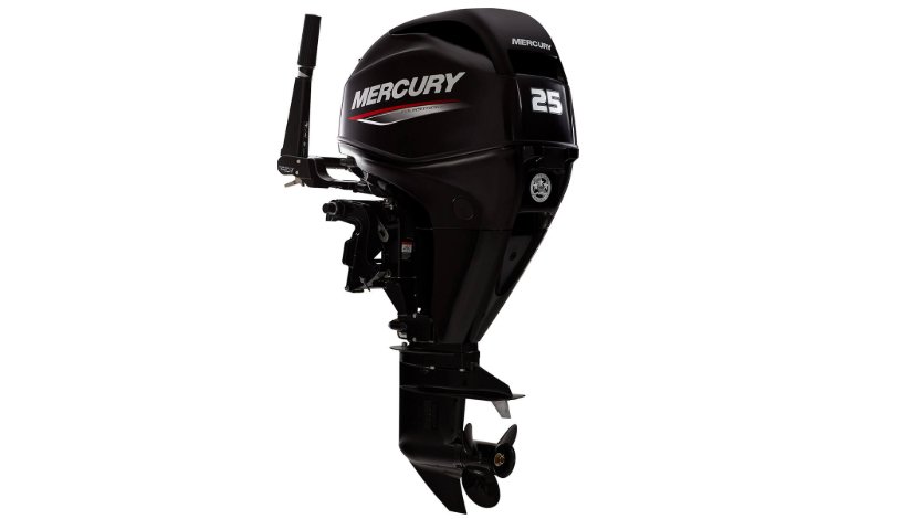 Mercury-25EH-FourStroke.jpg